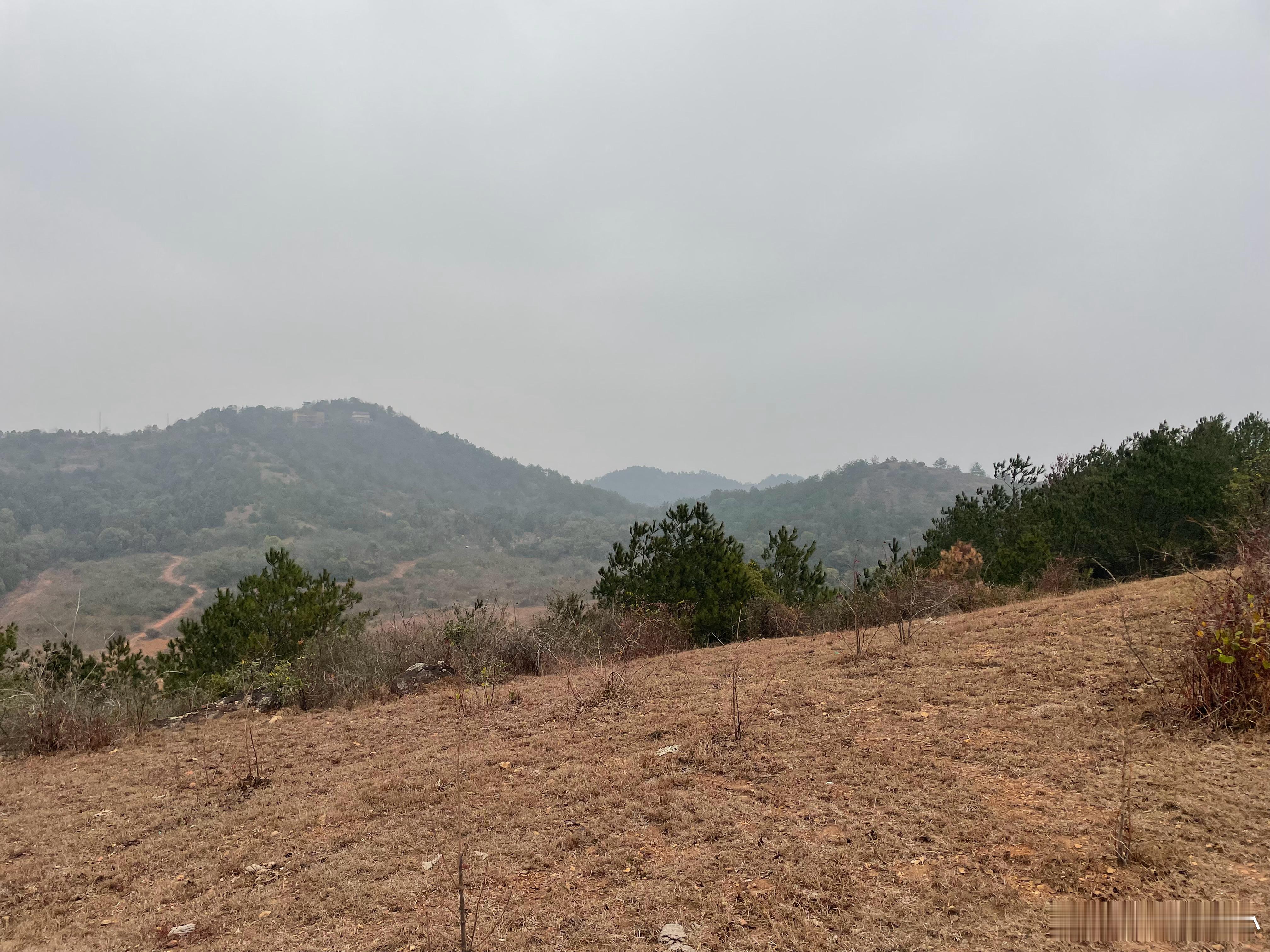 冬至多年的心愿和事情今天弄好了！上午和我爸还有专门的主事人把妈妈的新墓碑立上了，
