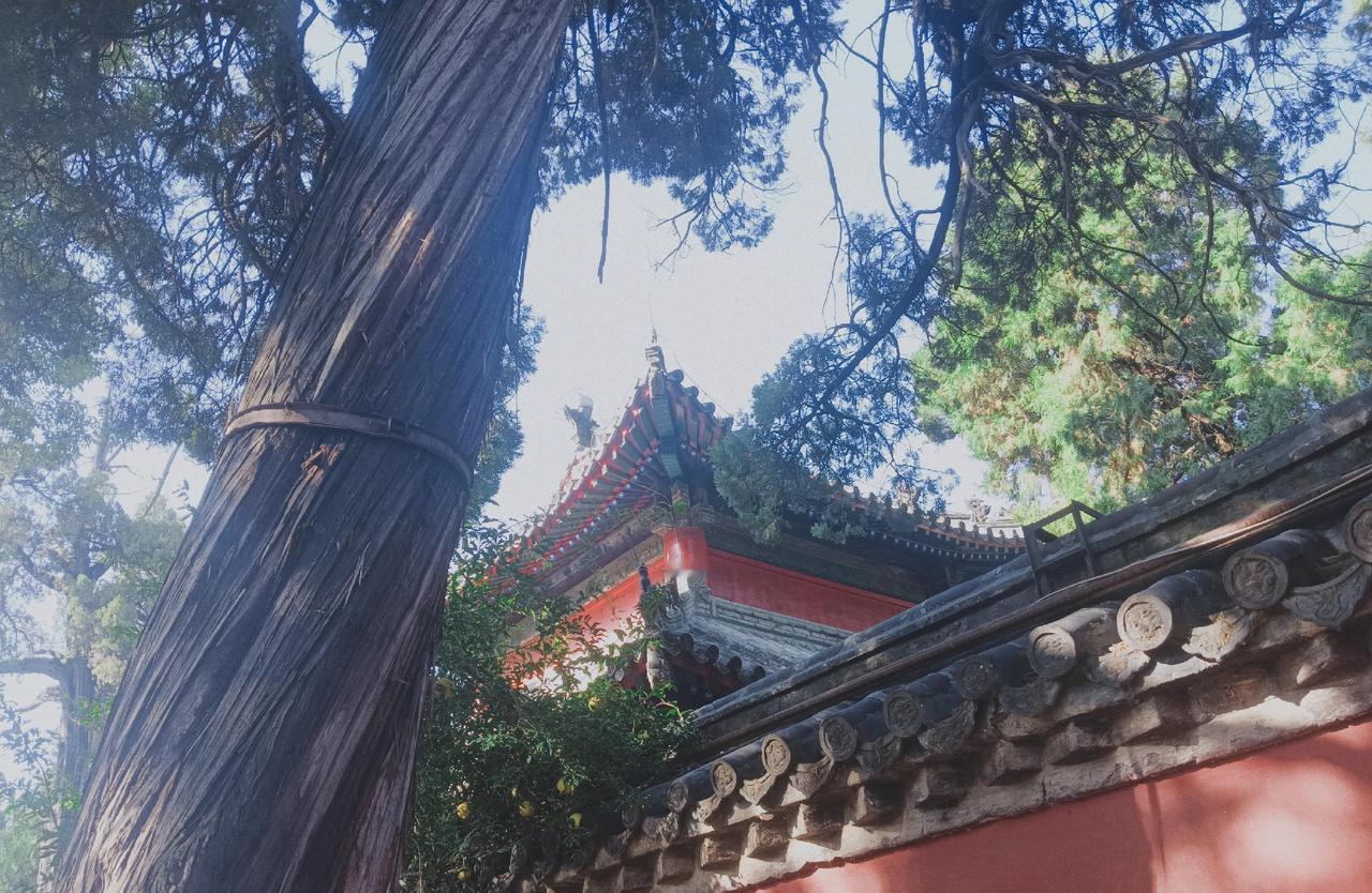 第一次来山东曲阜，坐公交时看到“幸福里”站，瞬间被这名字戳中，浪漫感拉满。在曲阜