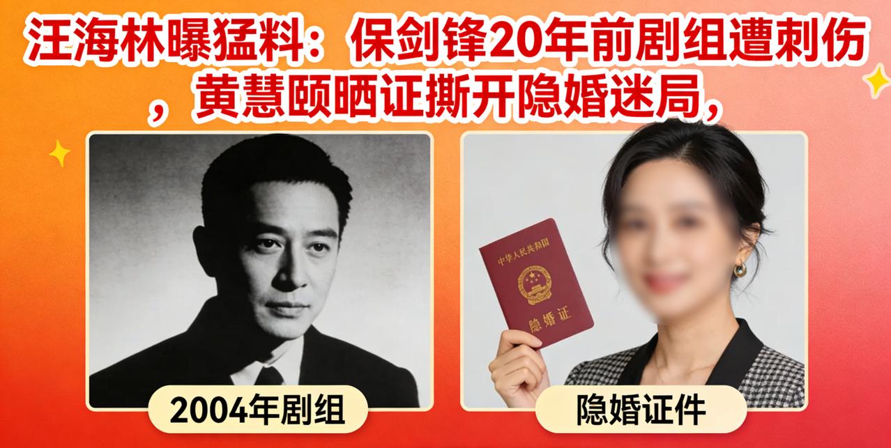 汪海林曝猛料！保剑锋20年前剧组遭刺伤，黄慧颐晒证撕开隐婚迷局
 
2026年初