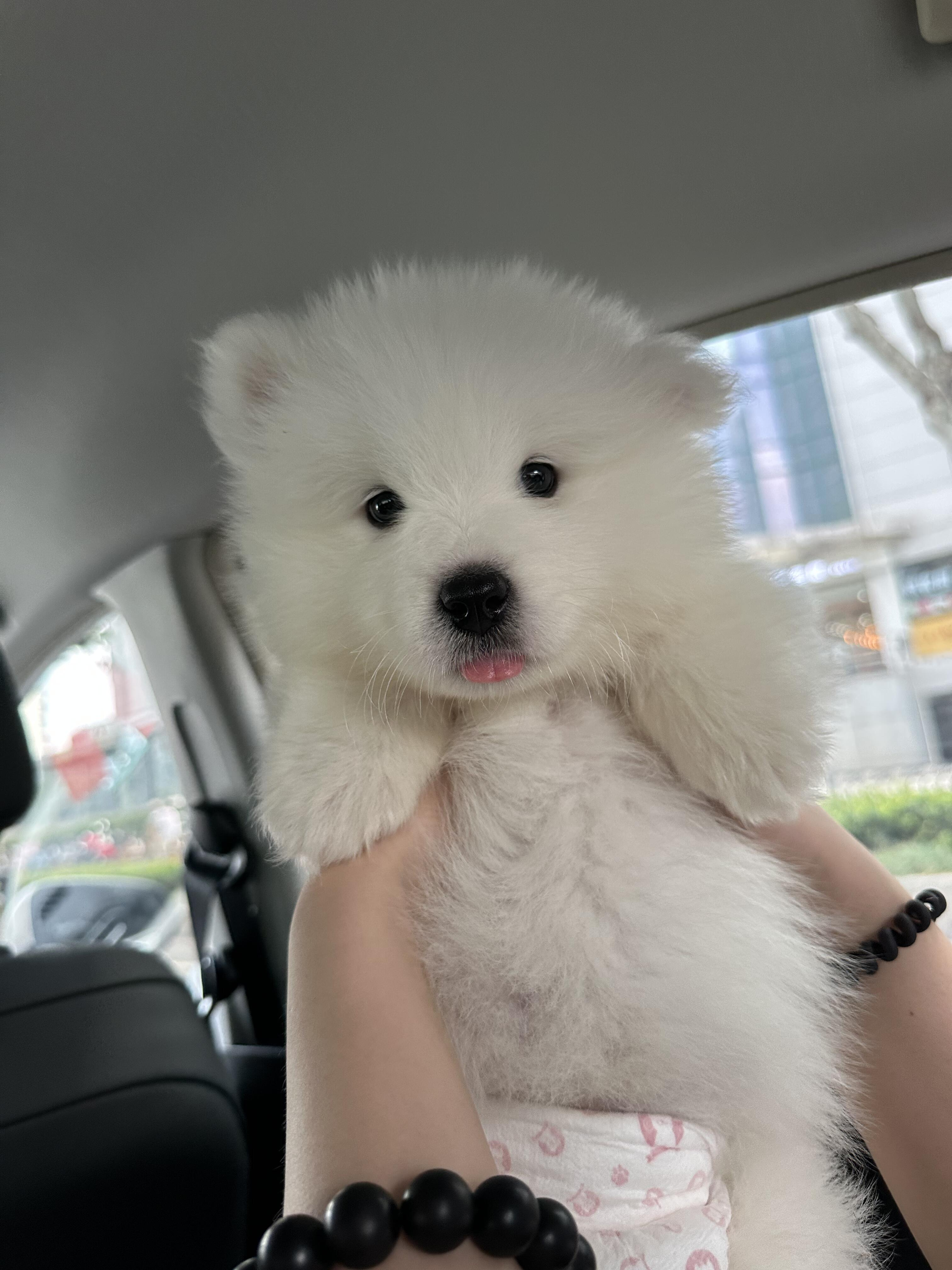 宝宝！从今以后你就是我的宝宝！ ​​​