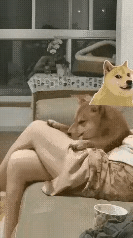 可惜了这姑娘。

生就一副俏模样，精神却如断了线的风筝般，终日躲在屋里与狗作伴。