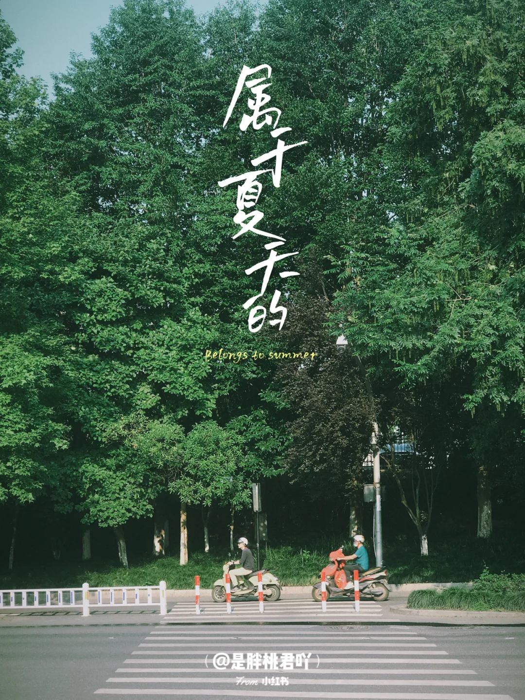 夏日旅行计划｜走进杭州青芝坞🍃享受慢生活