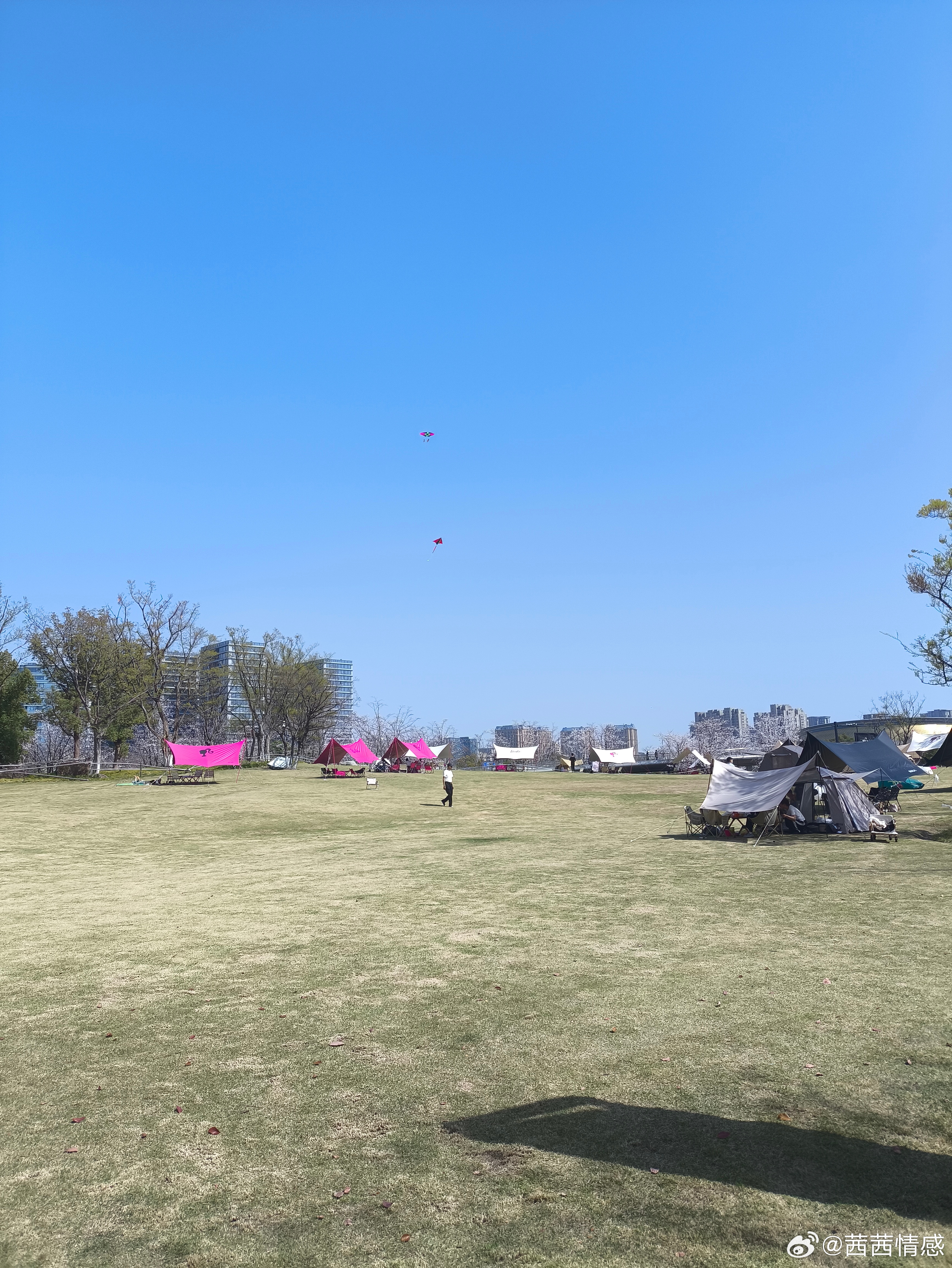 放下了便是拥有情感放下了，便是拥有。当我们学会放手那些无法挽回的过去，放下那些让