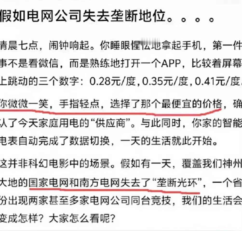 这个脑子呀，装的都是啥呀，如果电网，不是国家在守护老百姓，那么可能老百姓连电都用