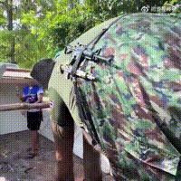 我知道泰国历史有用象兵的传统，但是一直没有眼见为实，这回算是看到了。泰国已经在柬