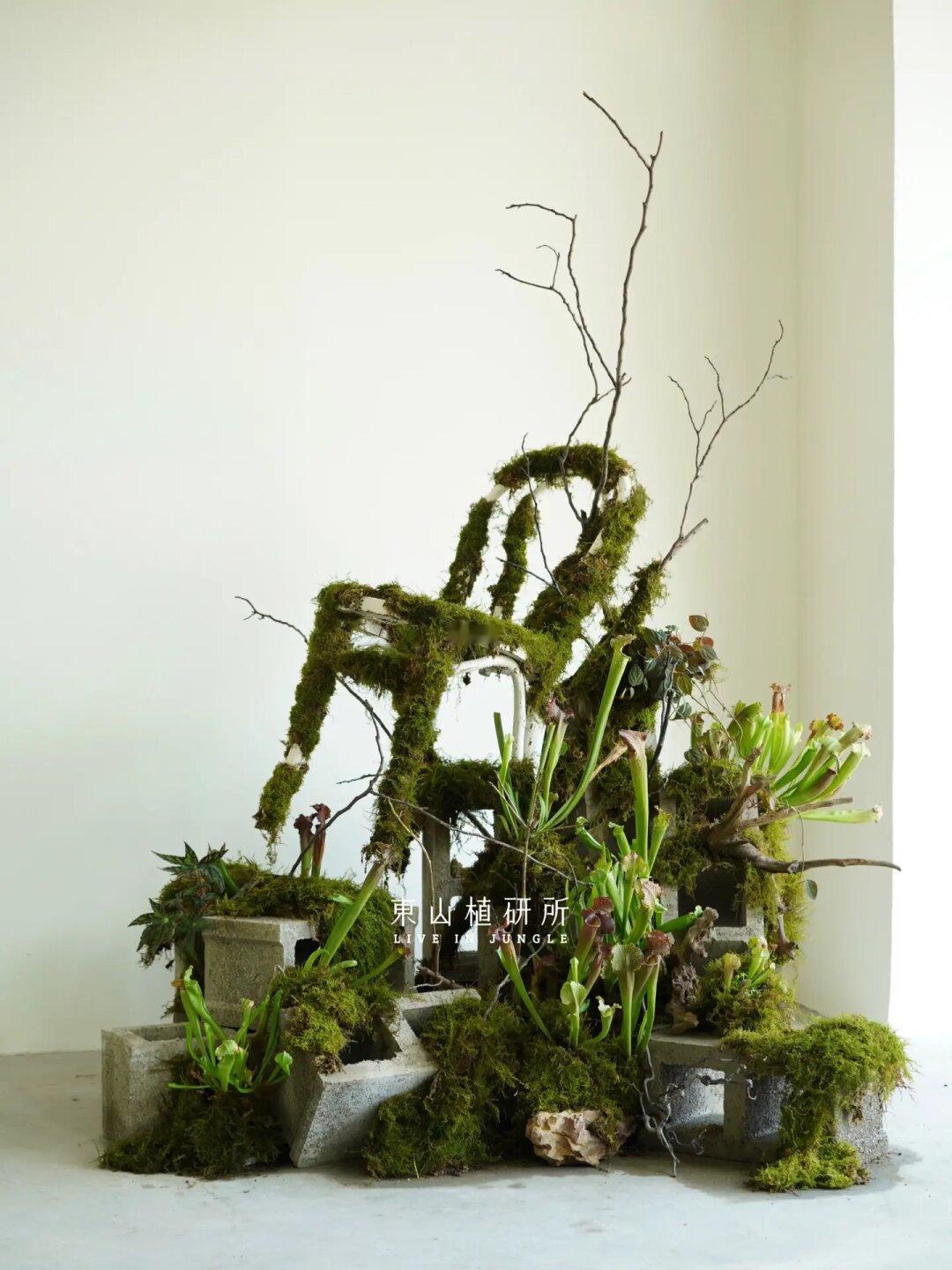 绿植装置｜绿植与家具的奇妙融合🪴🪑