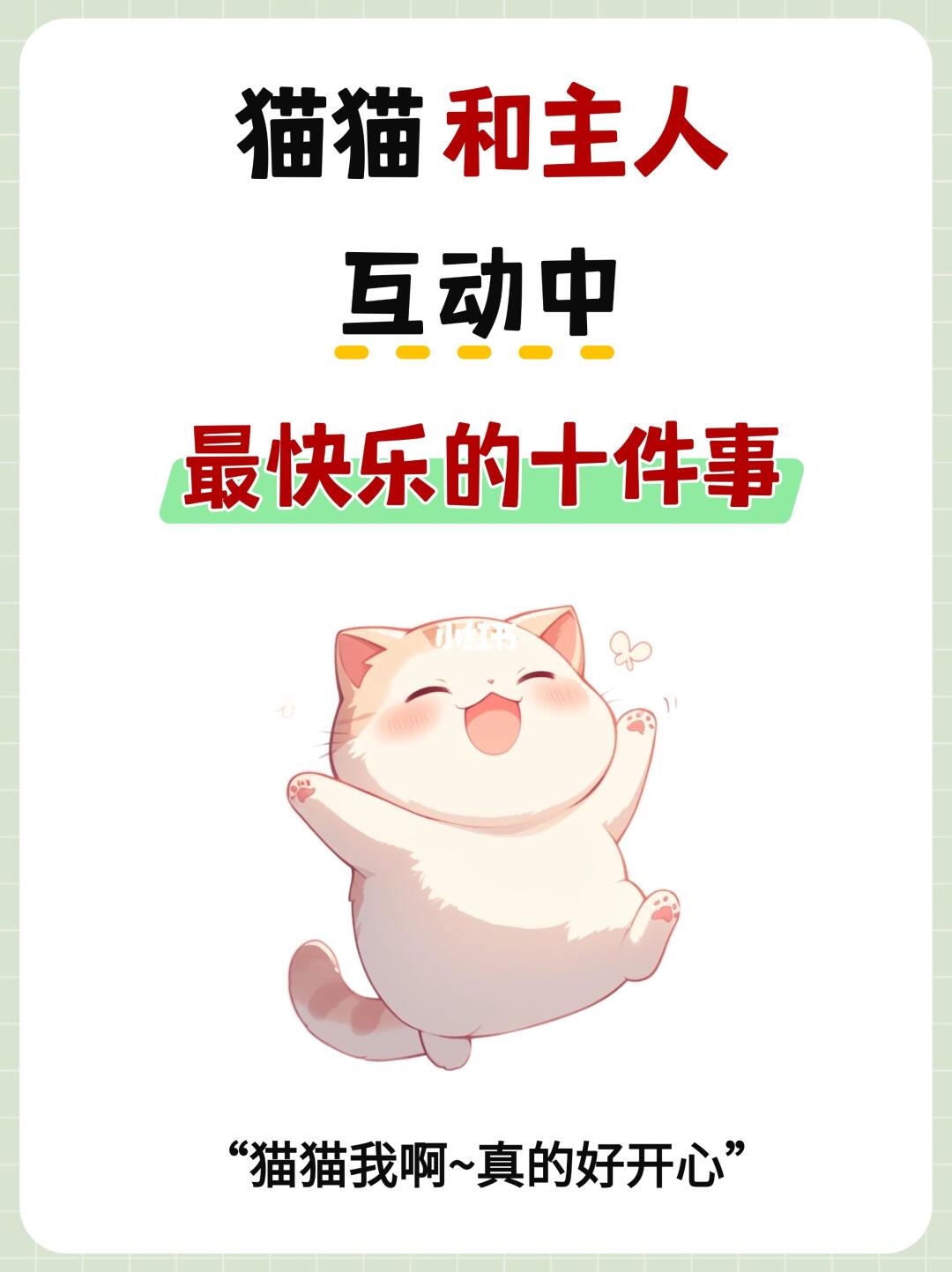 😻小猫和人类互动最快乐的十件事！
