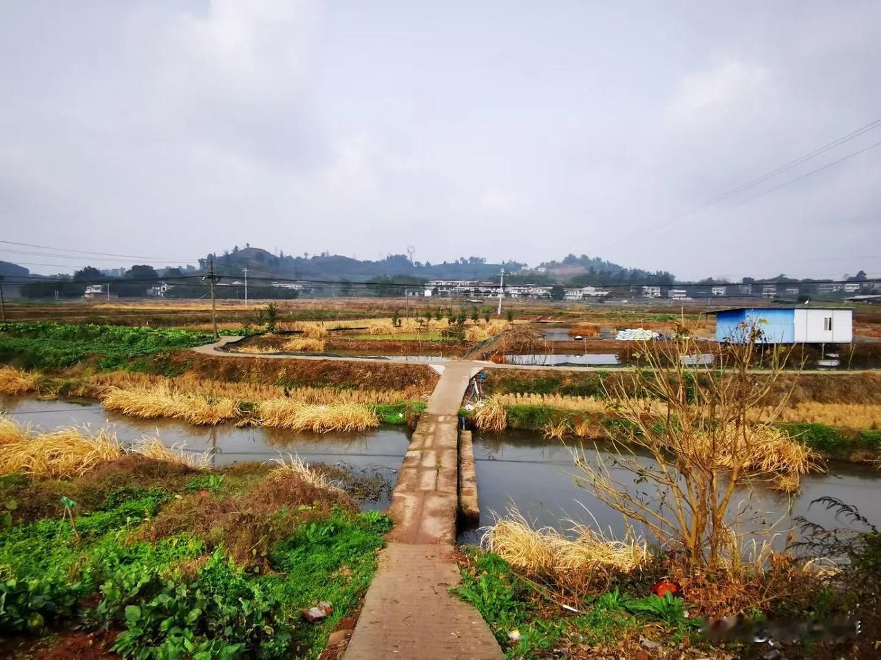 民国《富顺县志》关于牛佛沱江右岸双龙桥河记载，“双龙桥两水，一发源长山岭，一发源