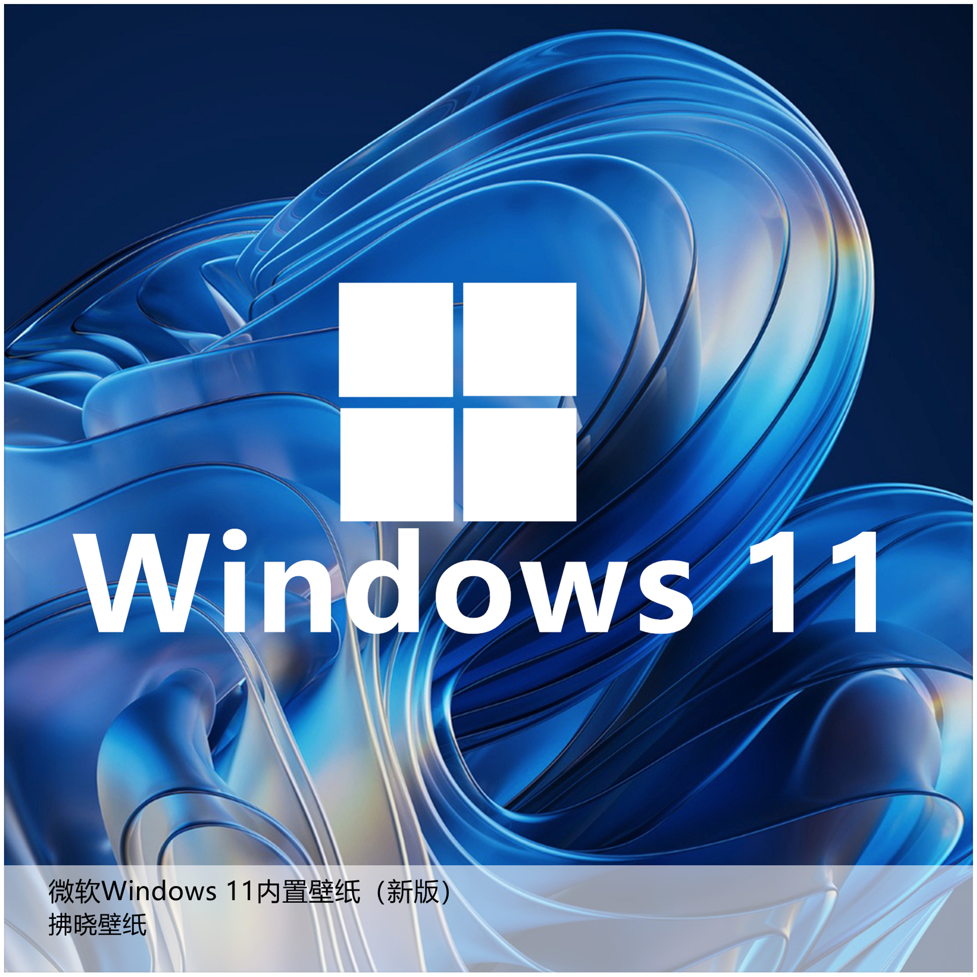 【壁纸分享】厂牌系列：微软Windows 11壁纸（新版）。[思考]与之前的版本