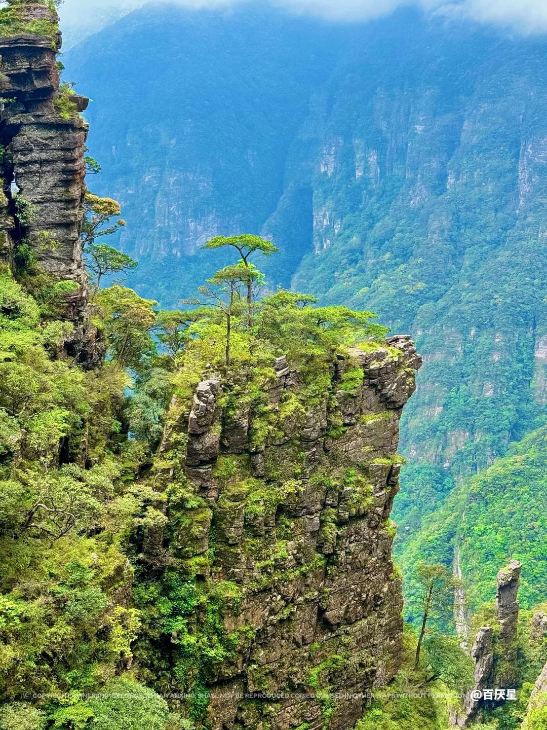 注意⚠️圣堂山有拦路虎⁉️我没开玩笑‼️