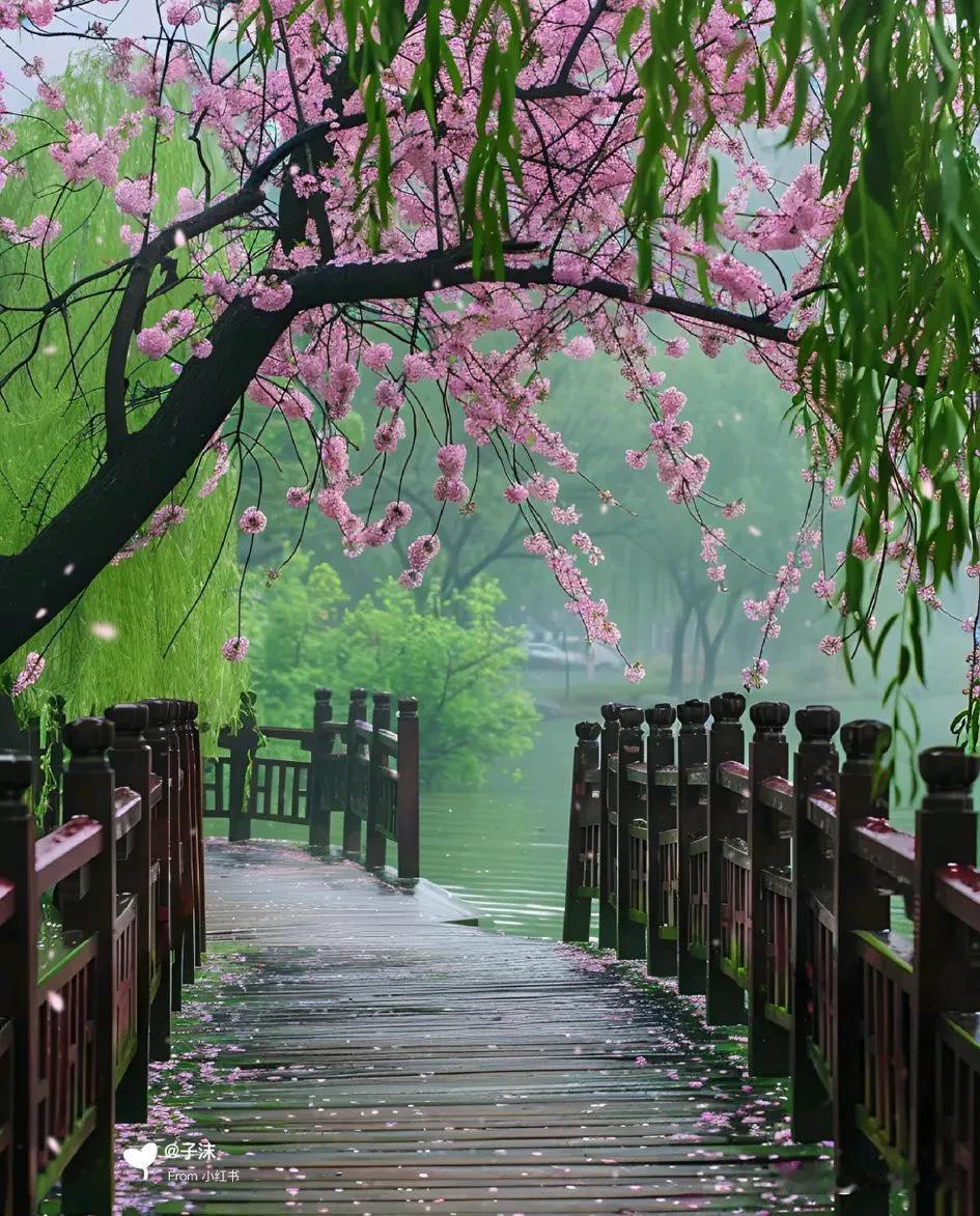 秋日湖畔，夕阳将湖面染成金箔，粼粼波光随涟漪轻晃。岸边山林尽披彩衣，金黄的白桦与
