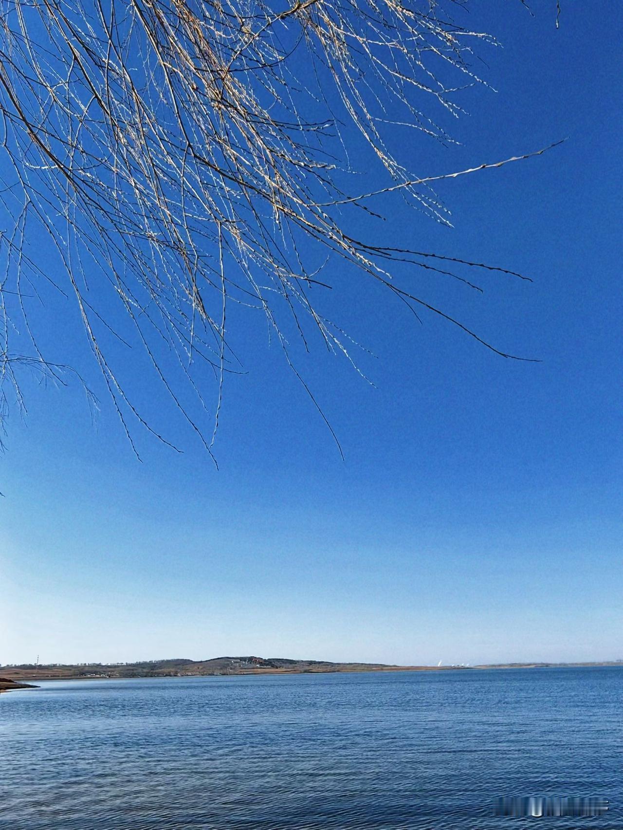 垂柳盈春意
碧水映蓝天
出游看到这样的风景
真的忍不住拍拍拍
湛蓝的天空
是沉浸