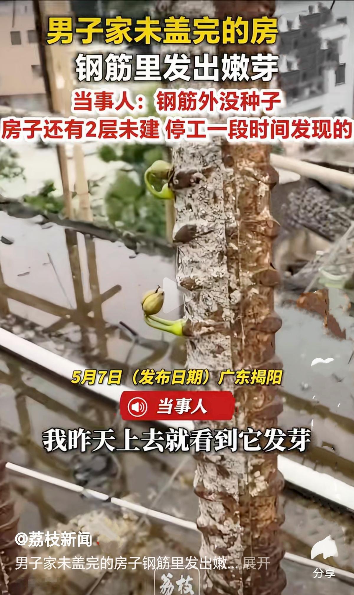 没盖完的房子，冰冷钢筋竟长出嫩芽，看完瞬间被治愈。
 
       谁能想象，