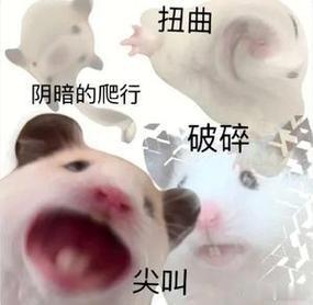 大鹏最佳导演  这个大鹏也是蛮搞笑的，他能拿最佳导演证明了在内娱做导演是最没门槛