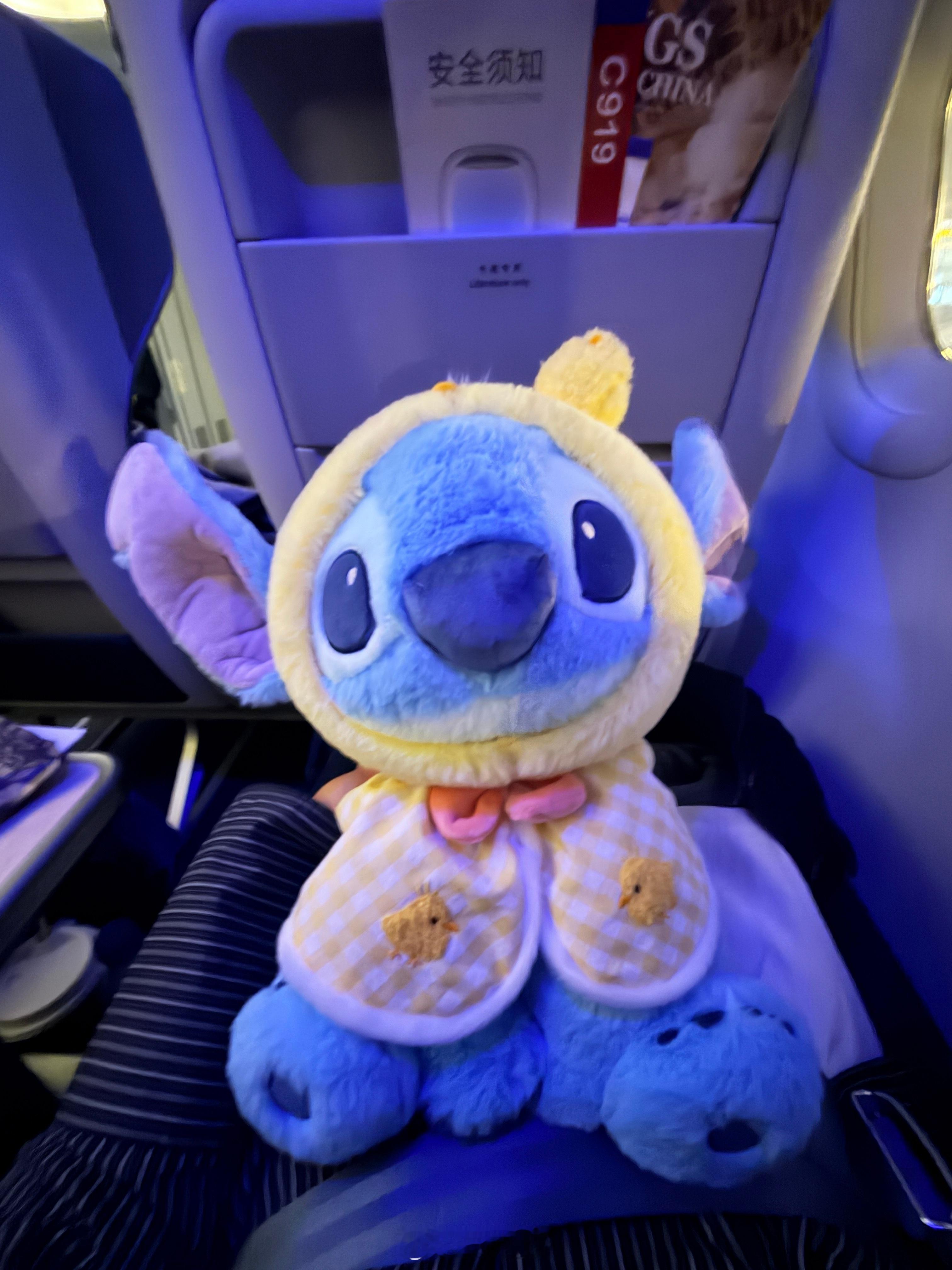 流浪回来了，但这门不太进啊… 