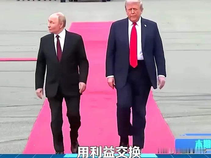 欧洲认为，用利益交换达成停战共识，暴露了美俄合伙掠夺的邪恶本质！
《华尔街日报》