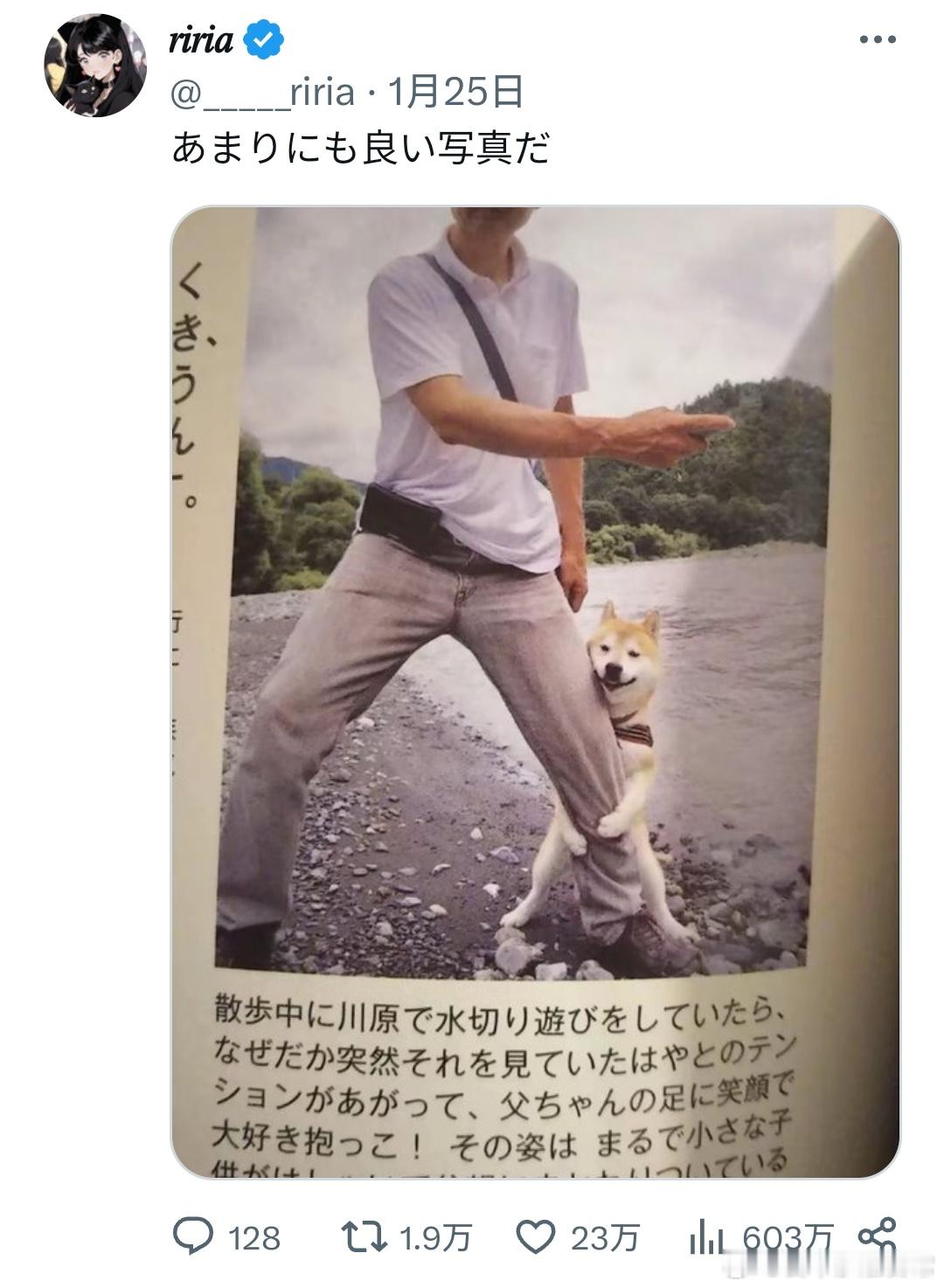 妈呀，这阿柴也太可爱了吧？[doge] 