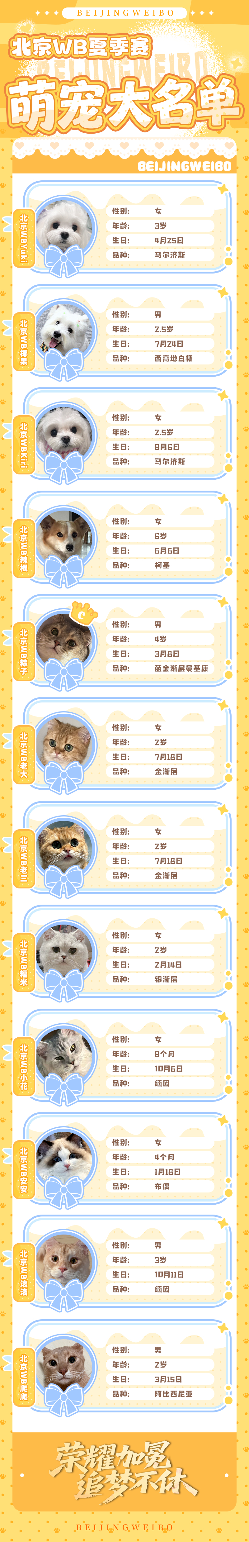 我看哭了 