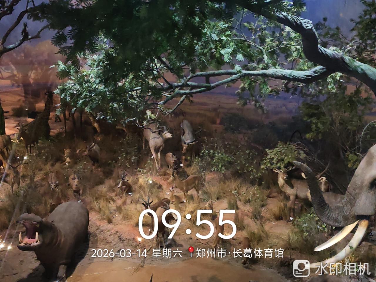 今天省考，又忆起曾经参加考试的自己，有遗憾，有唏嘘，反思总结一番，不管在什么工作