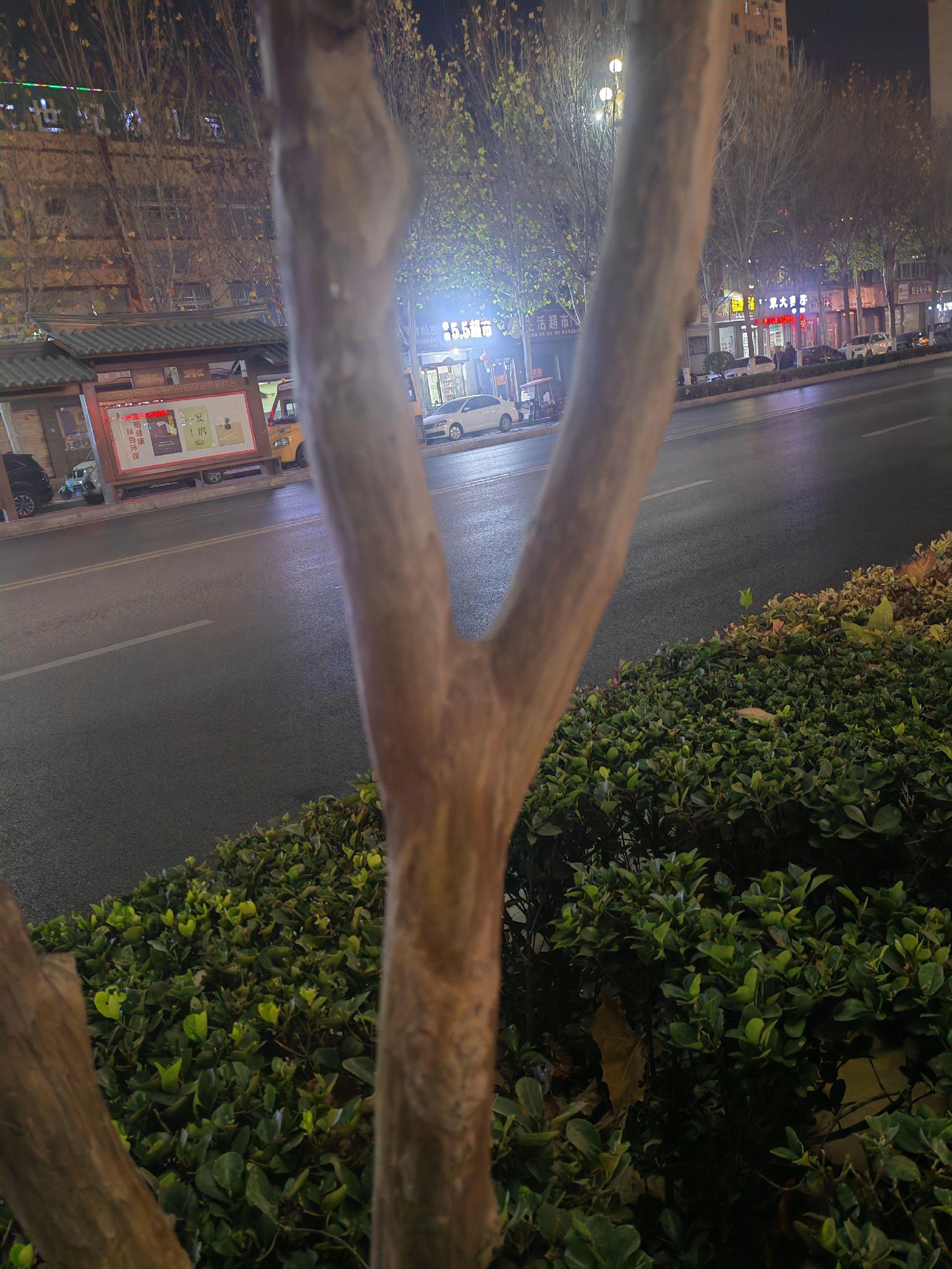 这算不算原叉，发张图看看你的原叉 你有多久没摸弓了