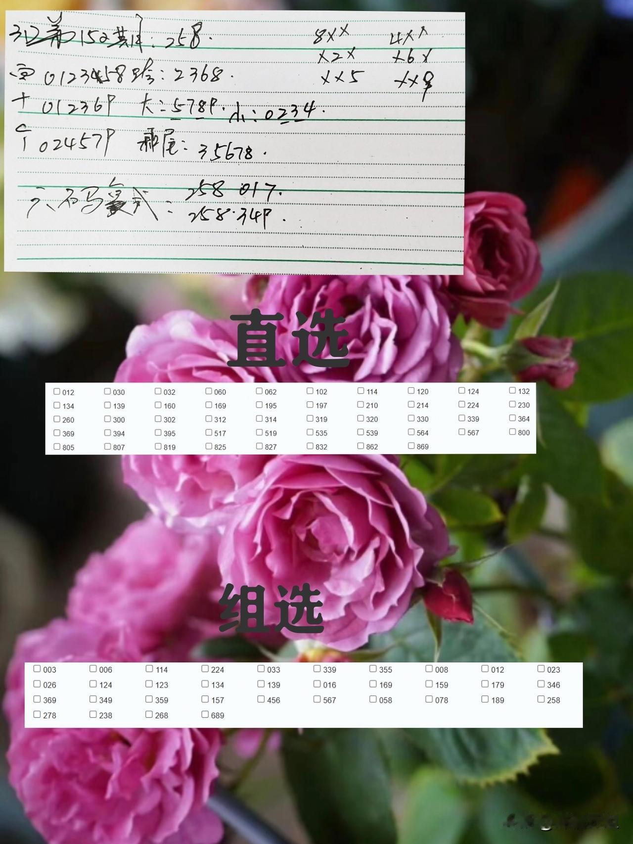 你认为属于你的幸福是什么