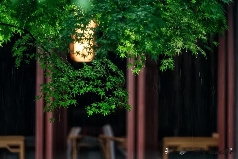 到底是云作的雨还是雨作的云，这问题有点烧脑。从科学角度看，云是由小水滴或小冰晶组