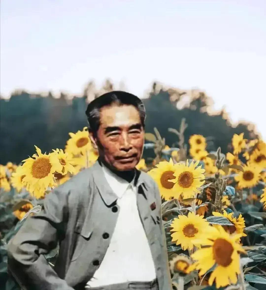 周总理重访延安，村民为何集体躲开了
1973年，周总理陪外宾参观延安之后，想拜访