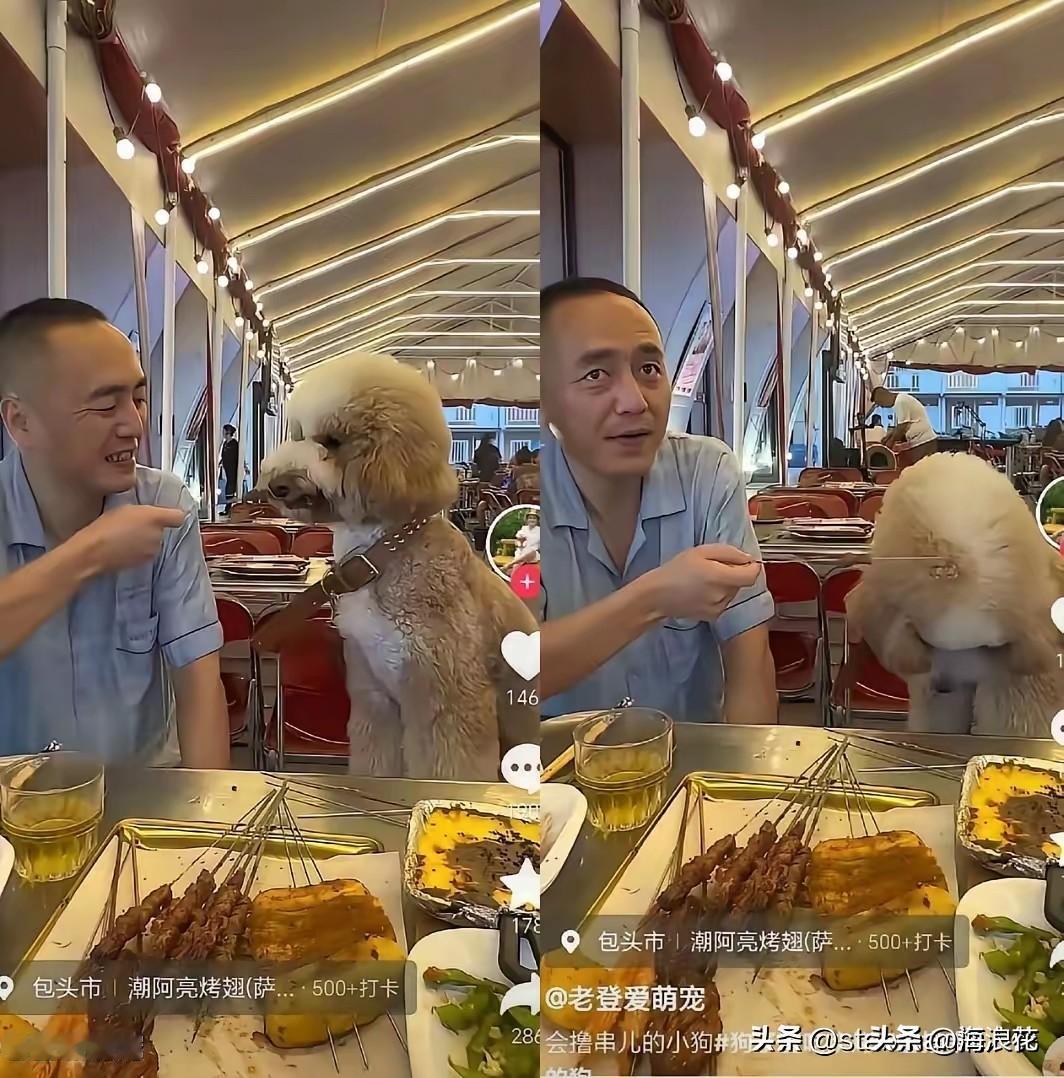 养狗的人怎么都变坏了！看看这个爱萌宠的老登！带着他的狗去餐厅吃烤串了，不但上桌，