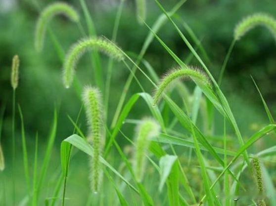 一哥们，跑运输的，不善言谈。和老婆结婚8年多，有个6岁的女儿。为了让妻女有个更好