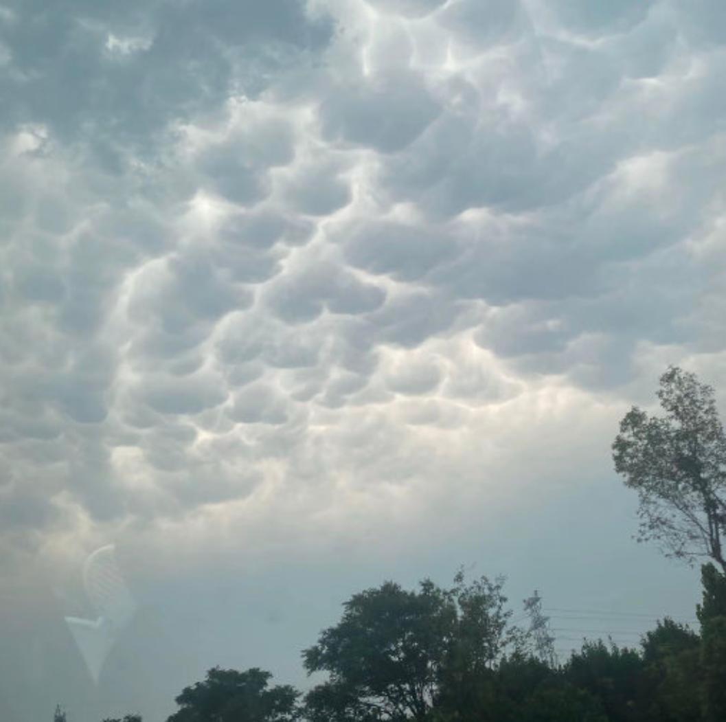 乳状云≠特大暴雨！别再被网传说法误导
近期多地拍到壮观乳状云，不少人刷到传言：看