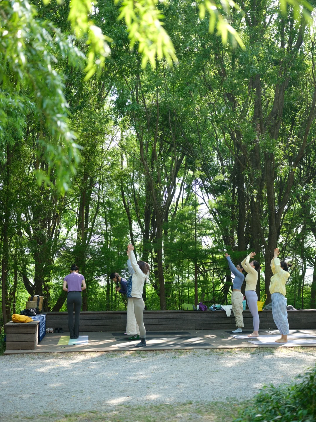 春天的空气里有香草的味道 Ekam yoga studio 瑜伽呼吸空间🍃