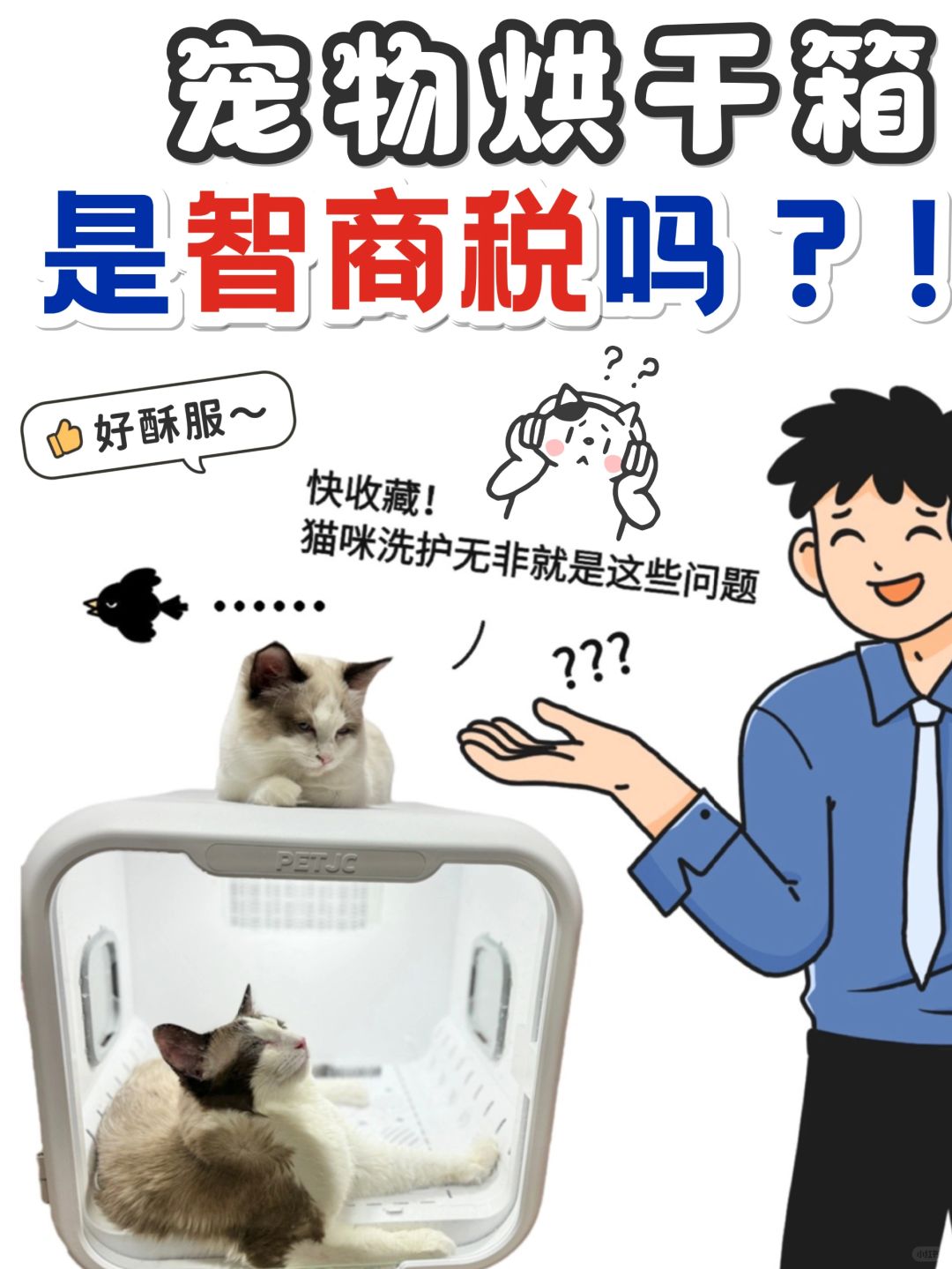 有了它👉在家给毛孩子洗澡事半功倍