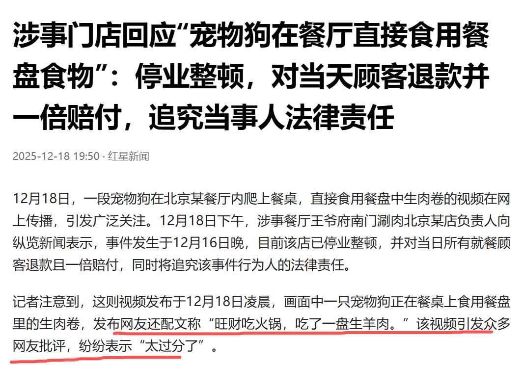 后续！狗主人带宠物狗去餐厅，还让狗直接食用餐盘食物，店家发布通知：停业整顿，对当