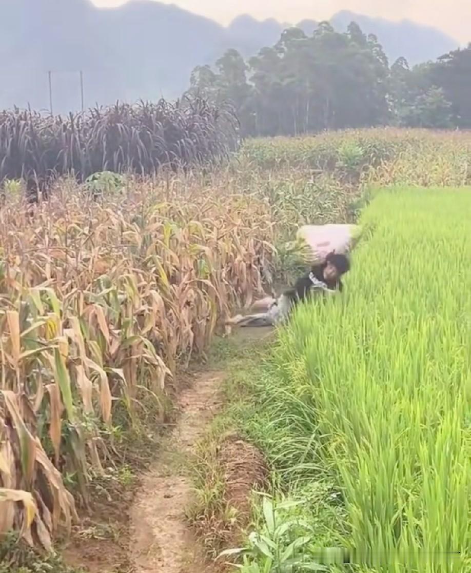 这倒霉催的[捂脸]
事实证明帅不过5秒[偷笑]