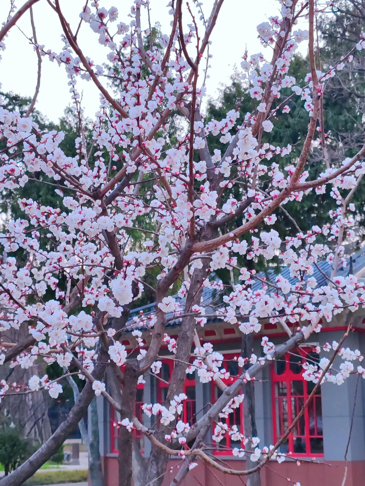 捡烟头抽，捡菜市场的剩菜叶子吃，捡垃圾桶里别人丢弃的衣服穿，这些皆是生活艰难的体