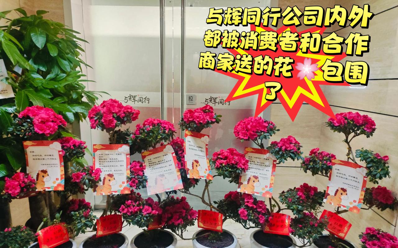 94万人同时挤进直播间，只为看他一眼，却没人骂一句卡顿，没人嚷嚷缺货。
两周年