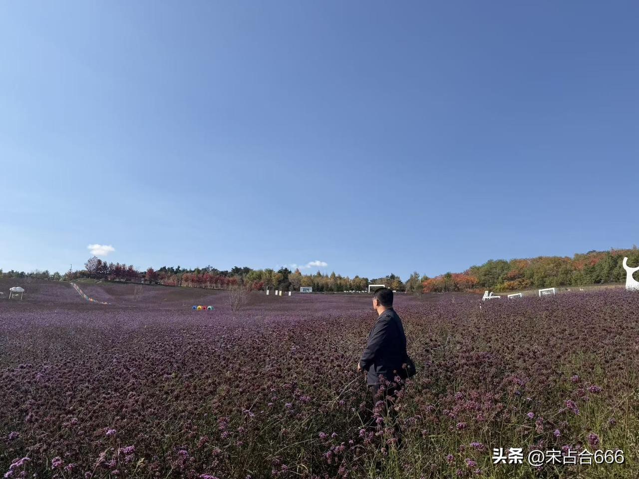 昨晚腰部很疼，疼痛难忍，以至于不敢翻身。妻子是医生，我鼓足勇气问她怎么回事？她正