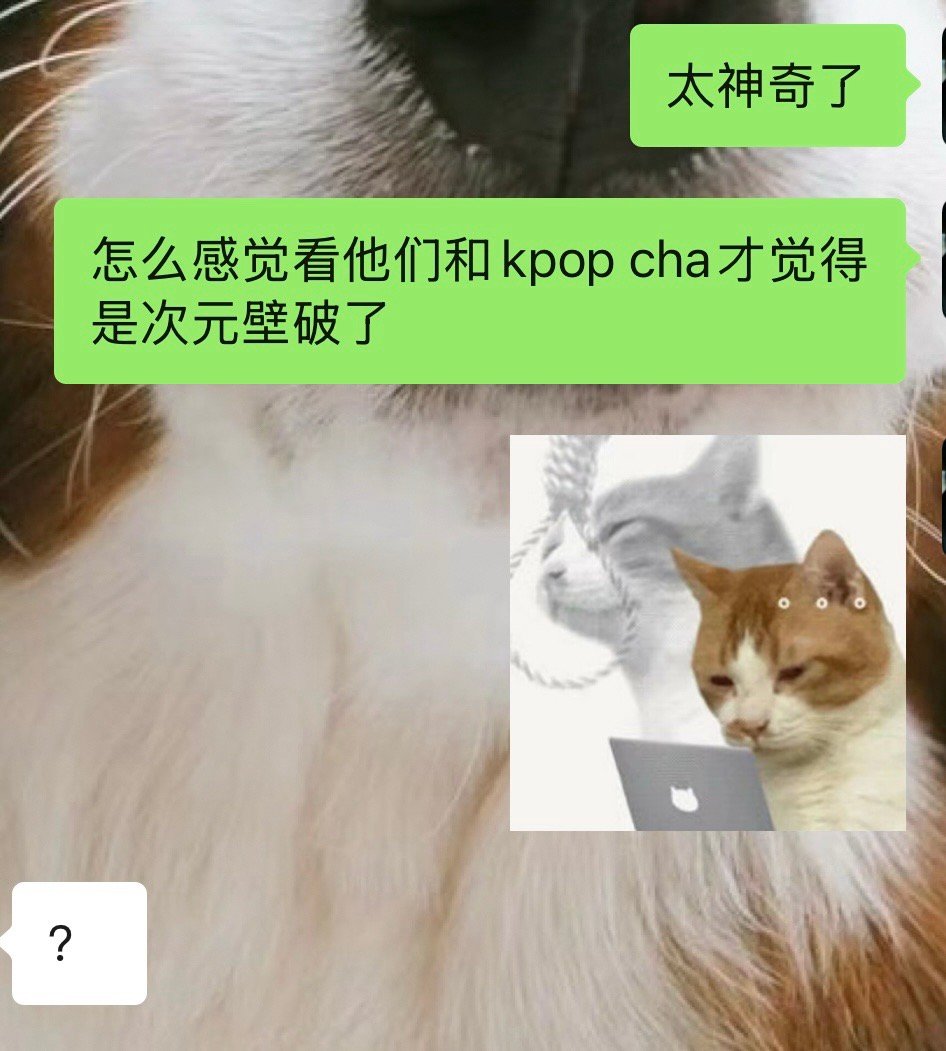 谁懂..一直觉得他们不属于这个领域[允悲]（或者说以前太少有过交集） ​​​