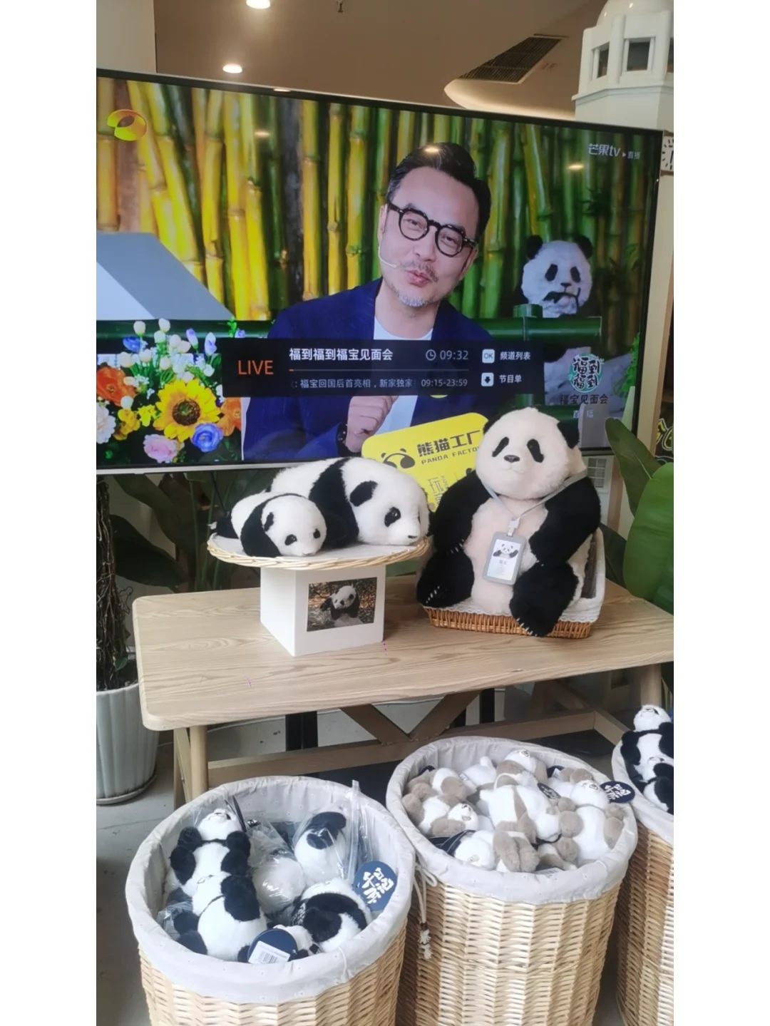 福店长陪你看福宝~