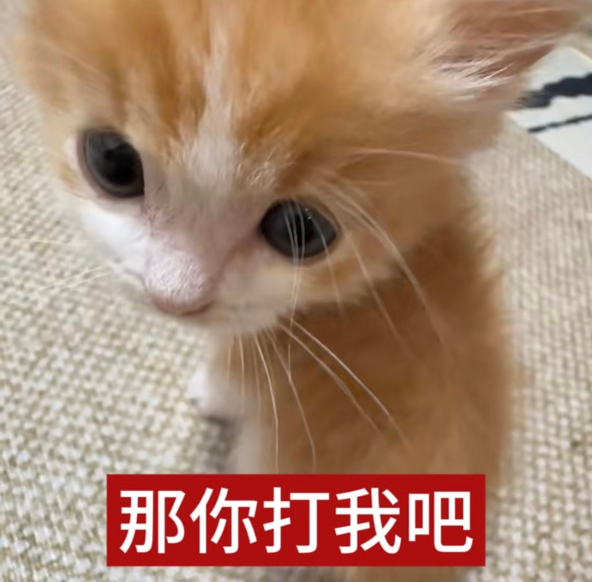 分享图片 