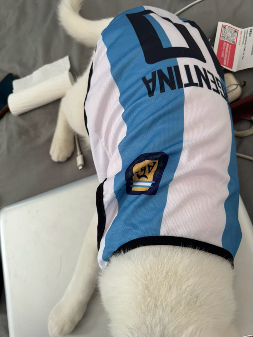 阿根廷小猫就位！ 