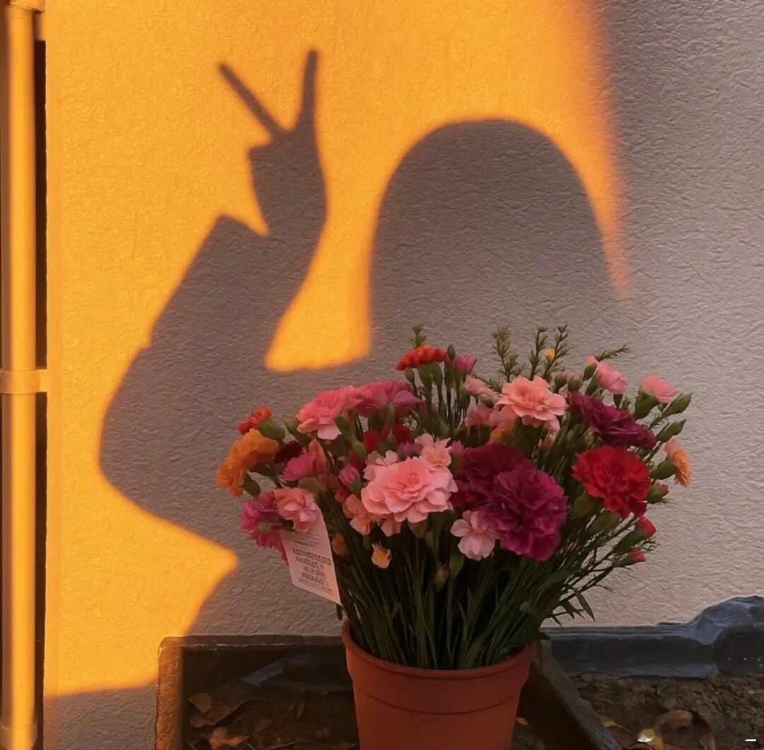 生活从不按常理出牌，唯有从容不迫，才能迎接每一份美好。接受它的曲曲折折，用积极的