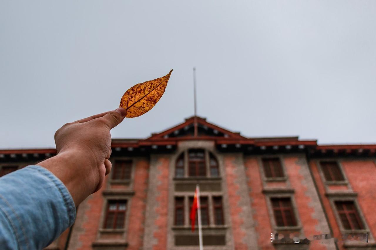 下联您请 看到“红楼梦里多情种”这个上联，一下就把我拽进了那满是悲欢离合的大观园