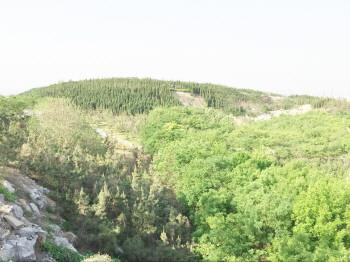 四宝山这种露天大规模挖山、搬走几十亿吨石灰石，地表不会整体“隆起”——反而主要是