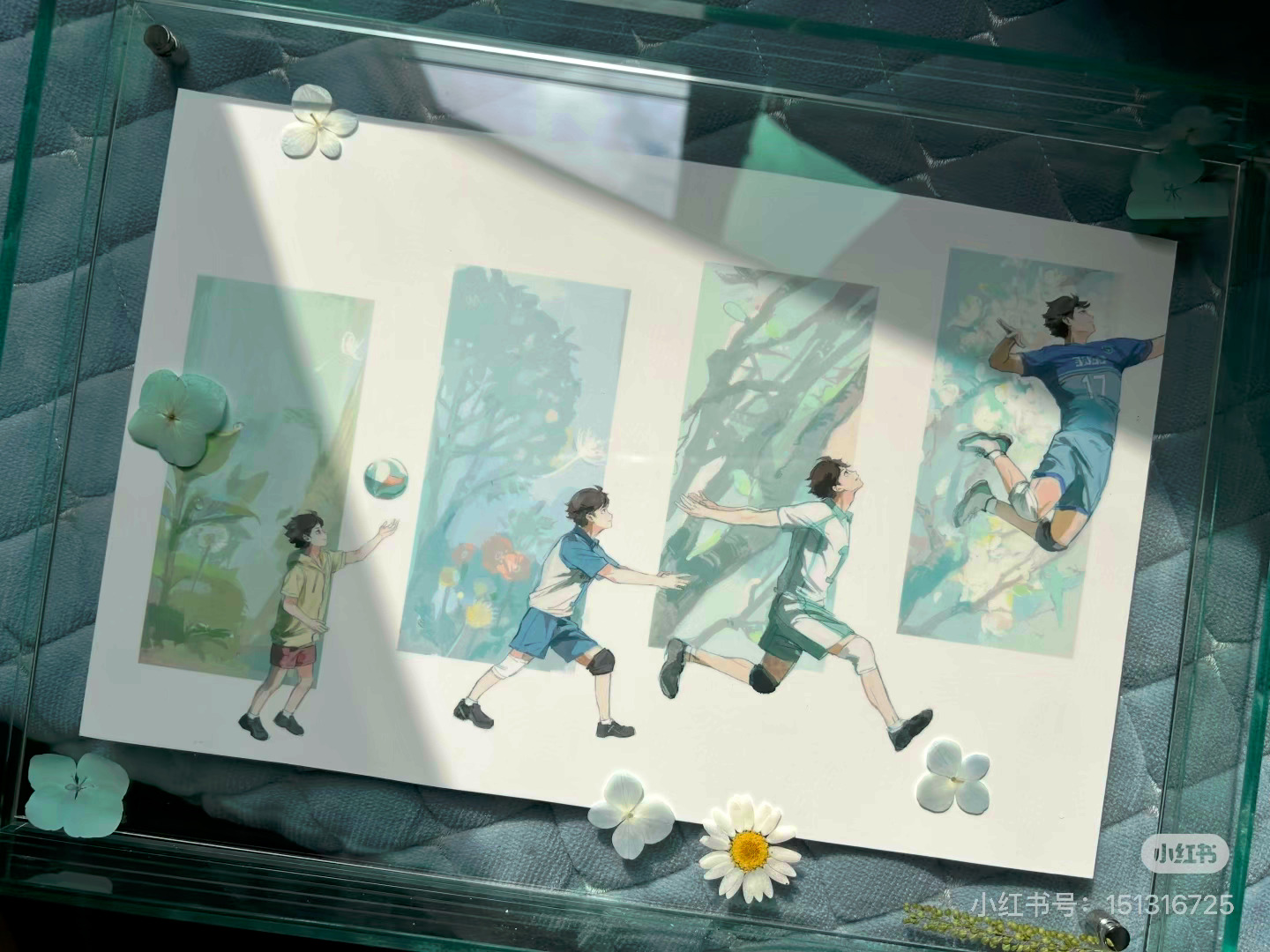 真的非常喜欢白日试集老师的同人本还有制品尤其是这个艺术微喷真的好美… 
