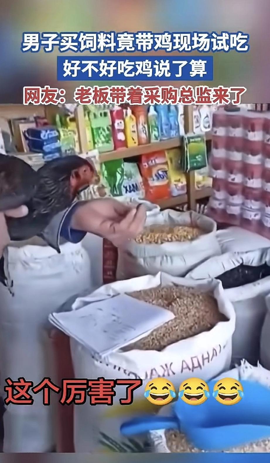 这年头，顾客要求真是越来越实在了！一位大哥去饲料店买东西，居然把自家鸡给抱来了。