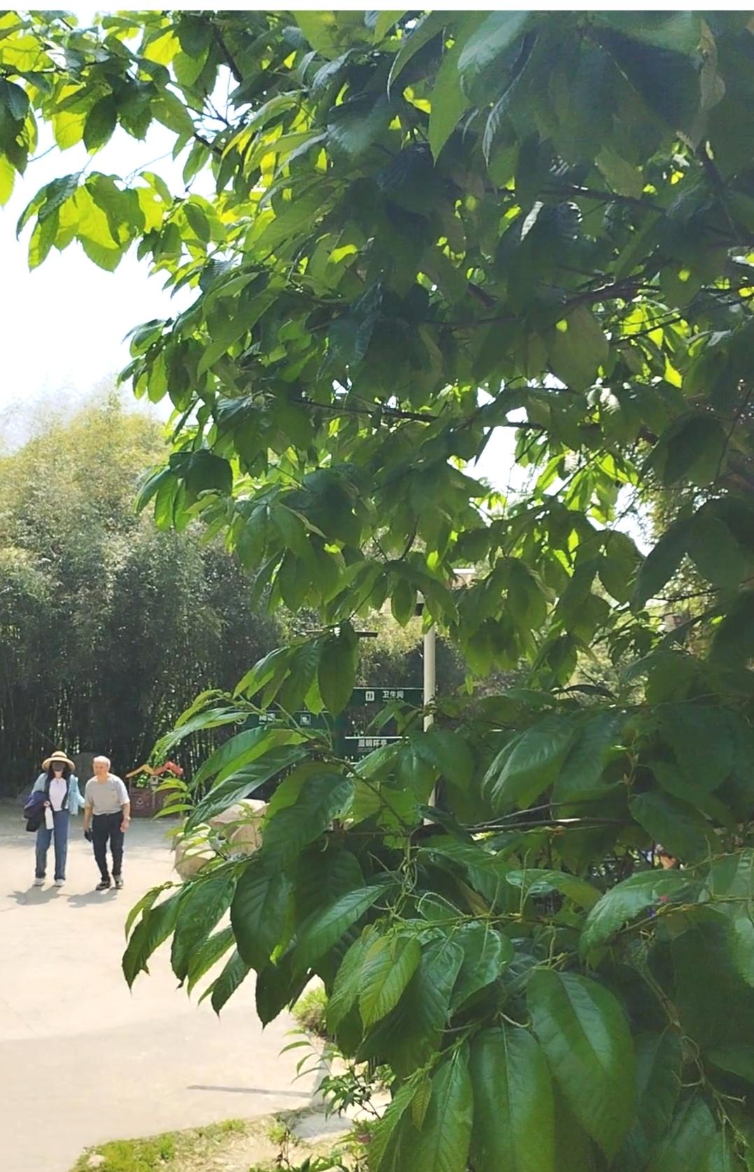 善良给你带来了什么？
善良给我带来的东西可太多了。在人际关系上，它就像强力胶。我