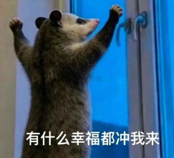 有什么幸福都冲我来有什么好运都冲我来有什么财运都冲我来有什么好消息都冲我来评论留