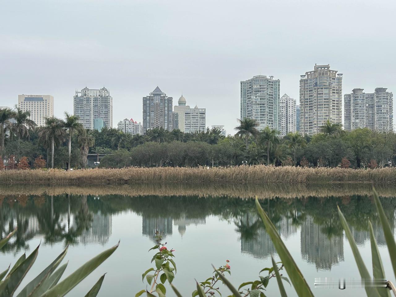 分享一张最近随手拍的照片随手拍。
