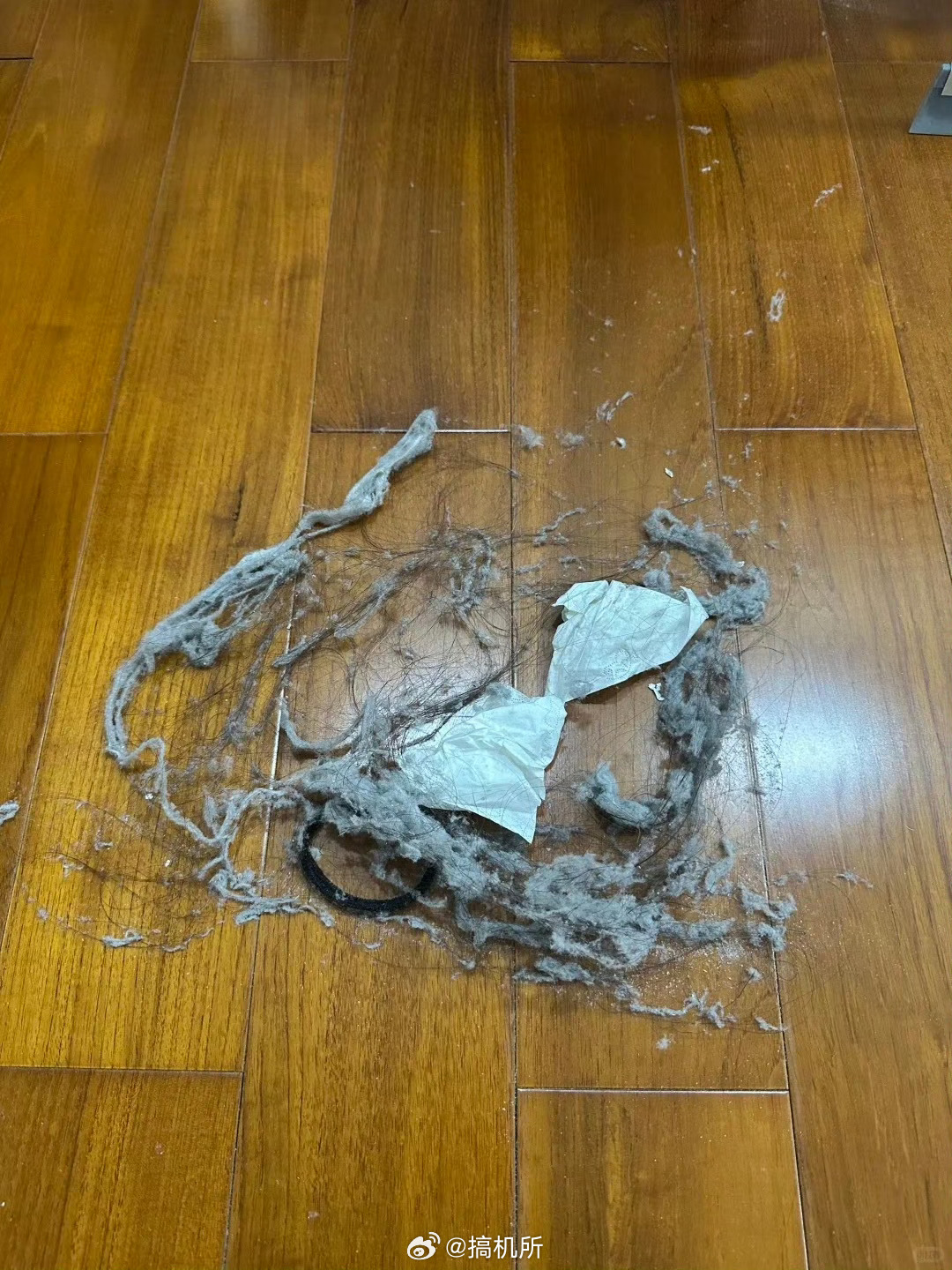 为什么房间里那么多灰尘毛大部分都是衣物毛絮、皮肤角质碎屑和空气中的灰尘，所以我基